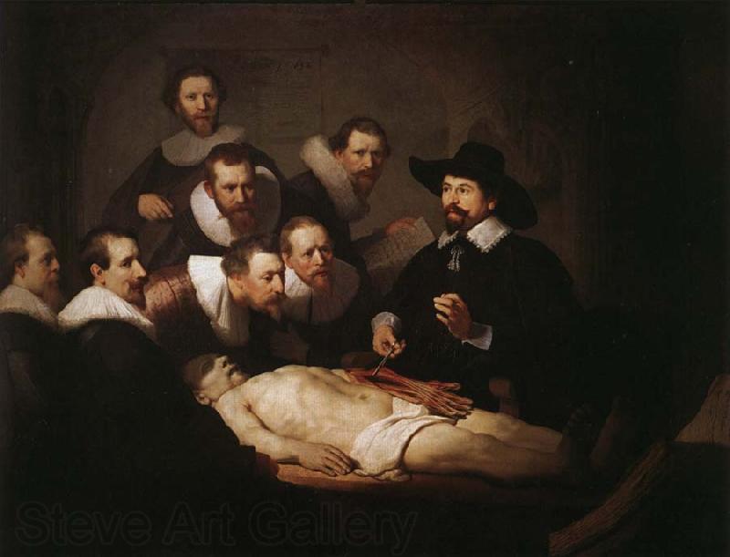 Rembrandt van rijn The Anatomy Lesson of Dr.Nicolaes Tulp